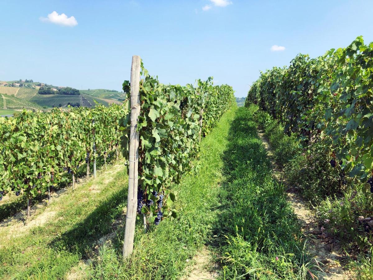 Castelnuovo  Agriturismo La Mussia מראה חיצוני תמונה