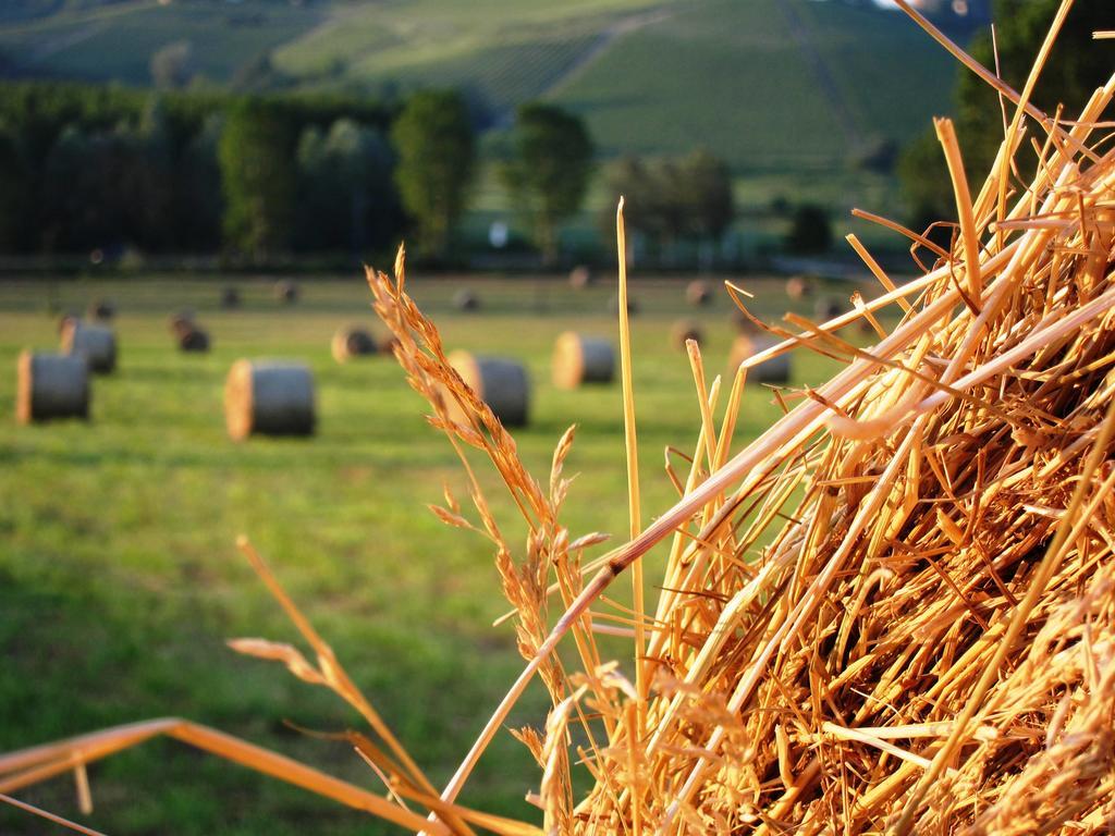 Castelnuovo  Agriturismo La Mussia מראה חיצוני תמונה